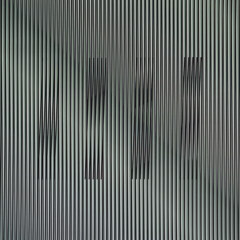 Carlos Cruz Diez