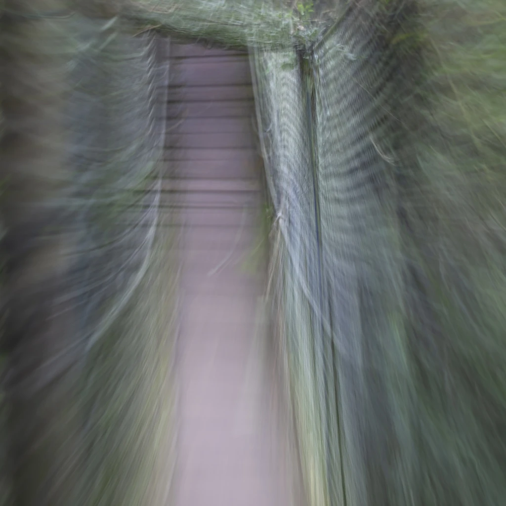 34717