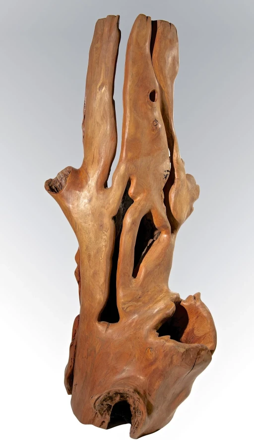 Itelvino Jahn - Eucalipto australiano maciço