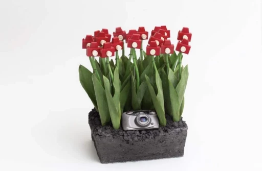 Mini Jardim fotográfico com câmera