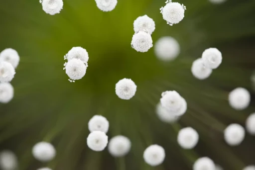 Série: Convite Ao Desconhecido