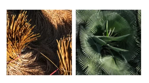 Título : Elementos  Terra 01 e 02 