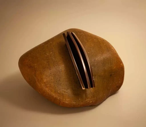 Saliência