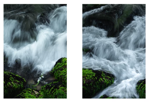 serie: Terra, Planeta verde