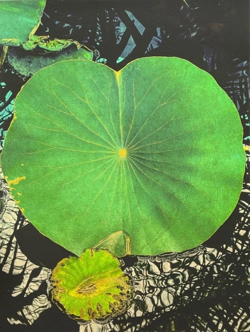 Exploratorius logi ia s 12