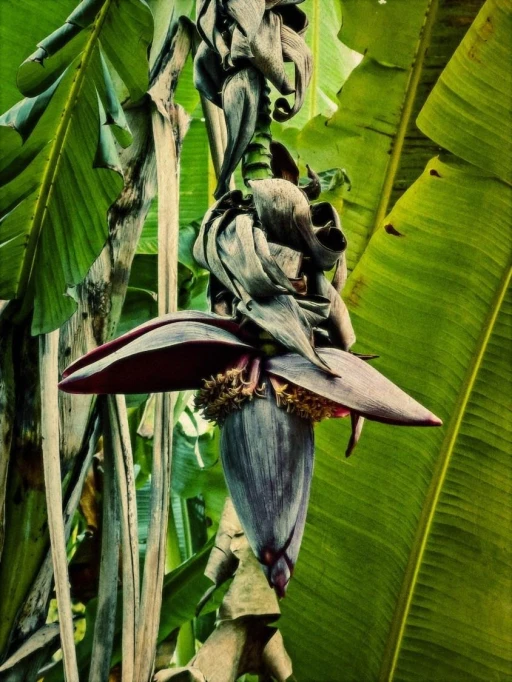 Exploratorius logi ia s 37