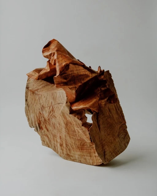 Sem Título 1, da série Línguas