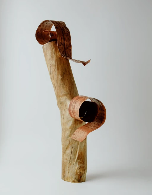 Sem Título 3, da série Línguas