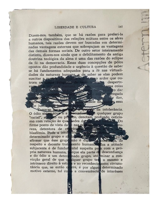 Liberdade e Cultura: Araucária