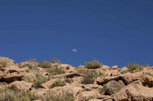 Entre Pedras e Céus