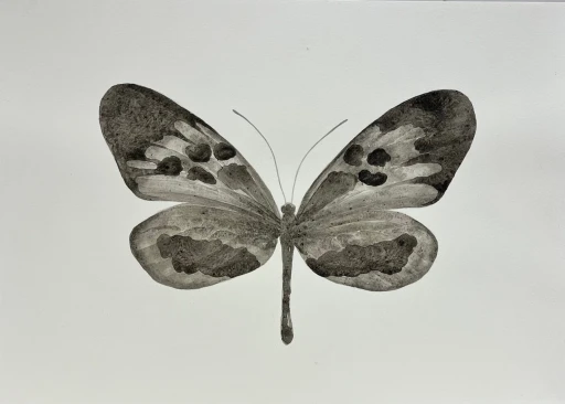 Borboleta