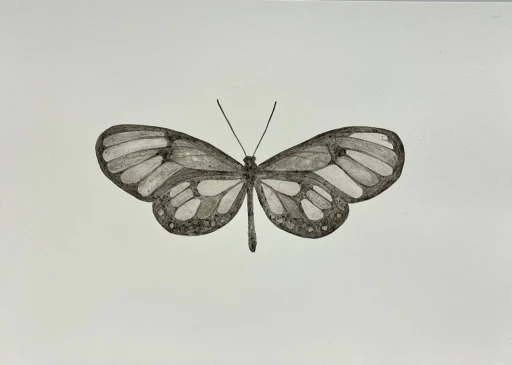 Borboleta