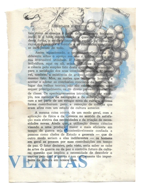 Liberdade e Cultura: Veritas