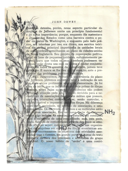 LIberdade e Cultura: Açucar