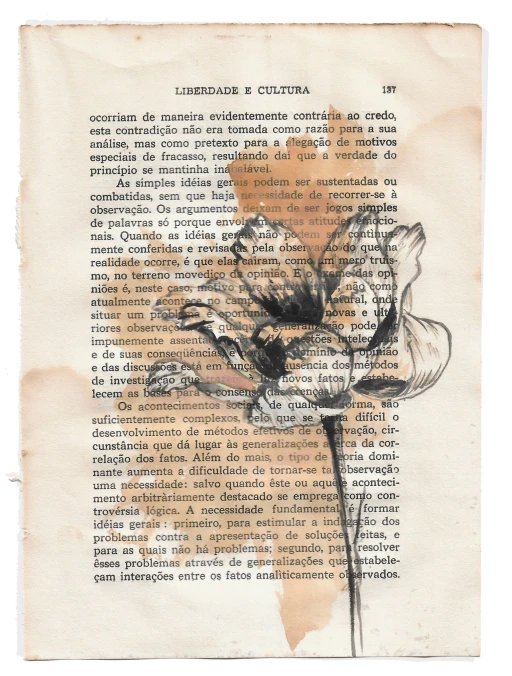 Liberdade e Cultura: Flor 2