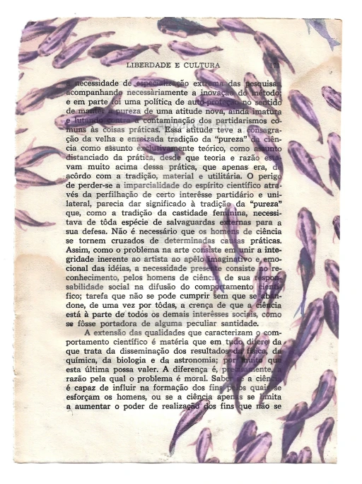 Liberdade e Cultura: Peixes