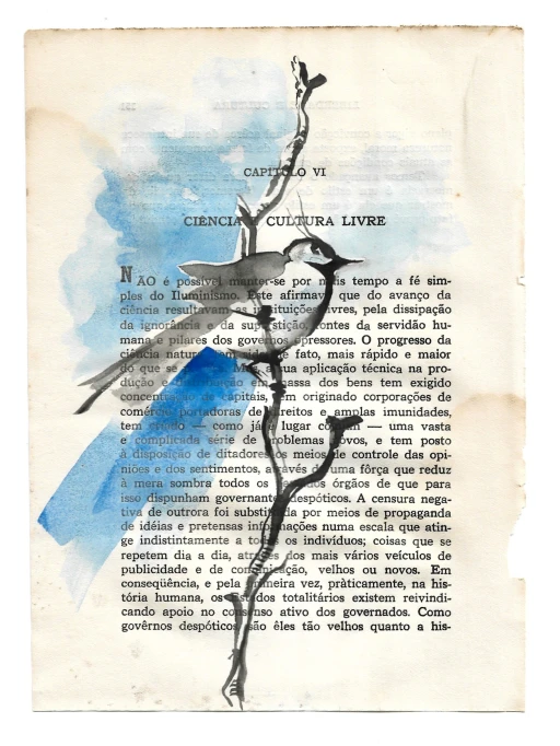 Liberdade e Cultura: Pássaro 2