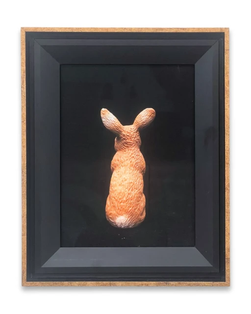 Double Representation #A1