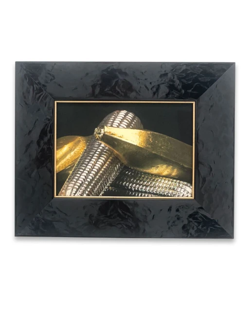 Double Representation SL4