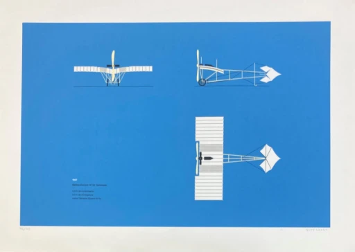 Santos Dumont nr 20 Demoiselle 