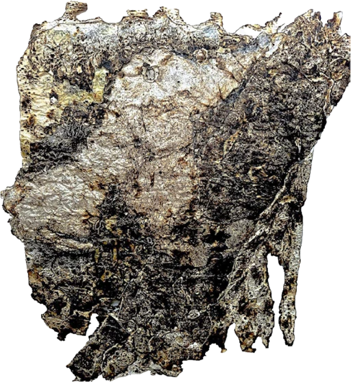 Série Queimadas: Preguiça