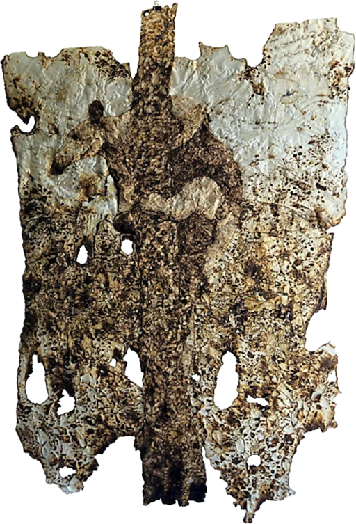 Série Queimadas: Tamanduá Mirim