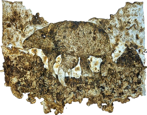 Série Queimadas: Tatu Canastra