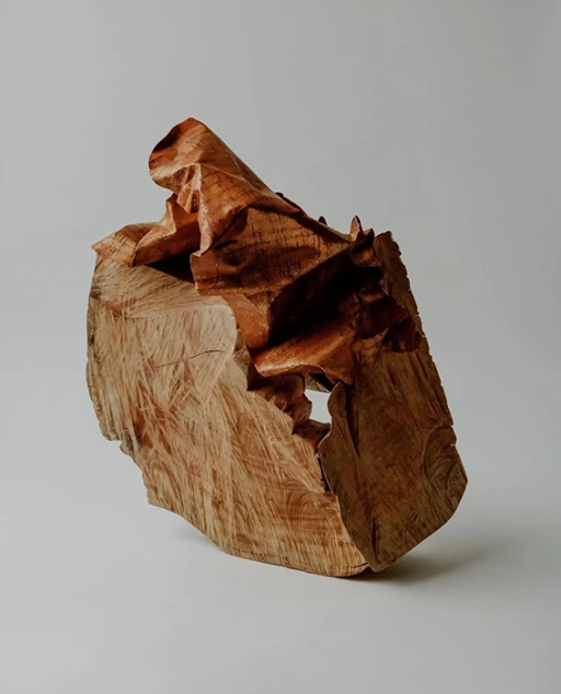 Sem Título 1, da série Línguas