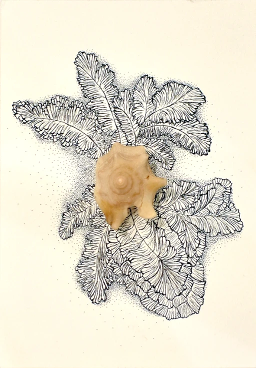 Série Semear Oceanos ǀ