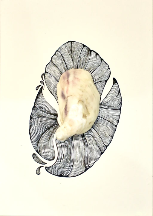 Série Semear Oceanos Ⅲ