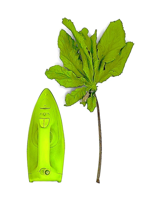 Antropo Morfias (avessos) 5