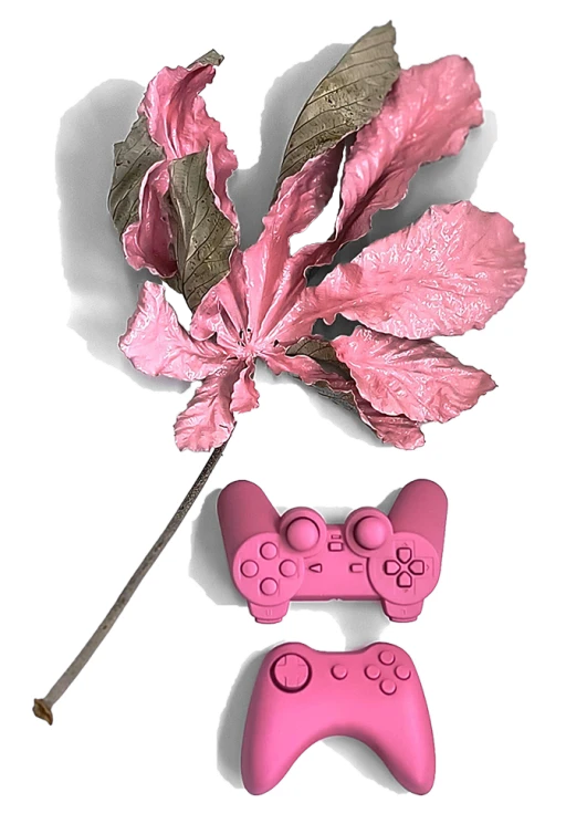 Antropo Morfias (avessos) 2