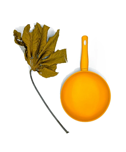 Antropo Morfias (avessos) 3