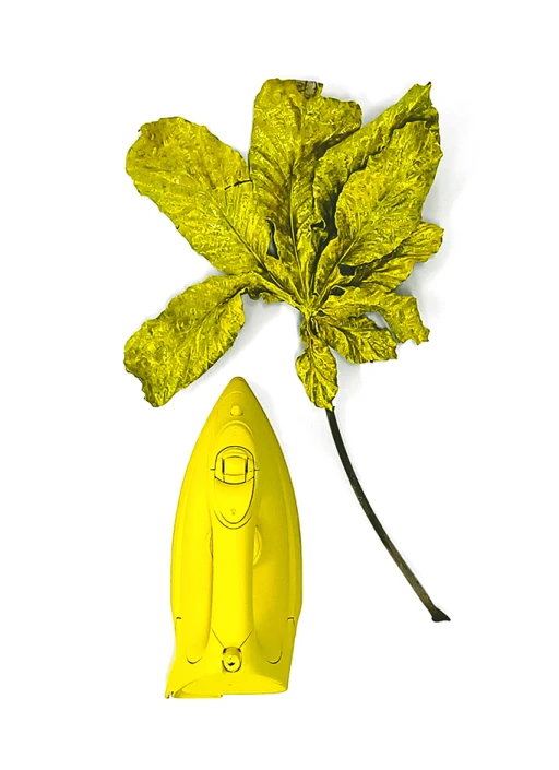 Antropo Morfias (avessos) 4