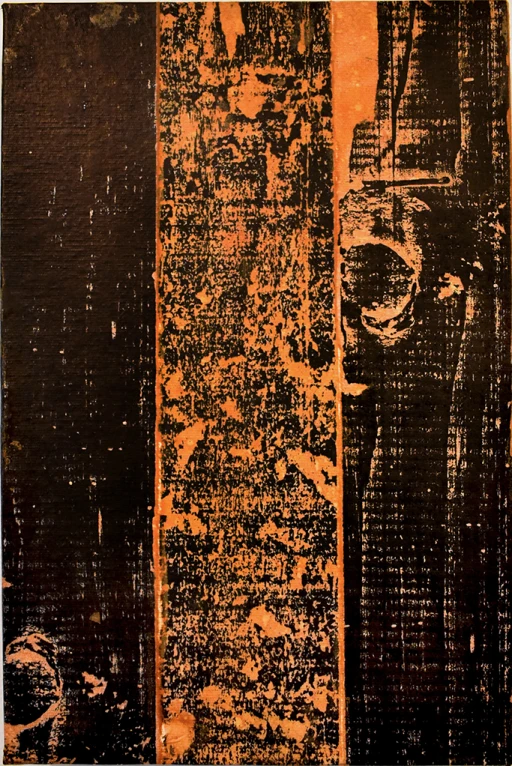 Sem Título, da série Pertencimento