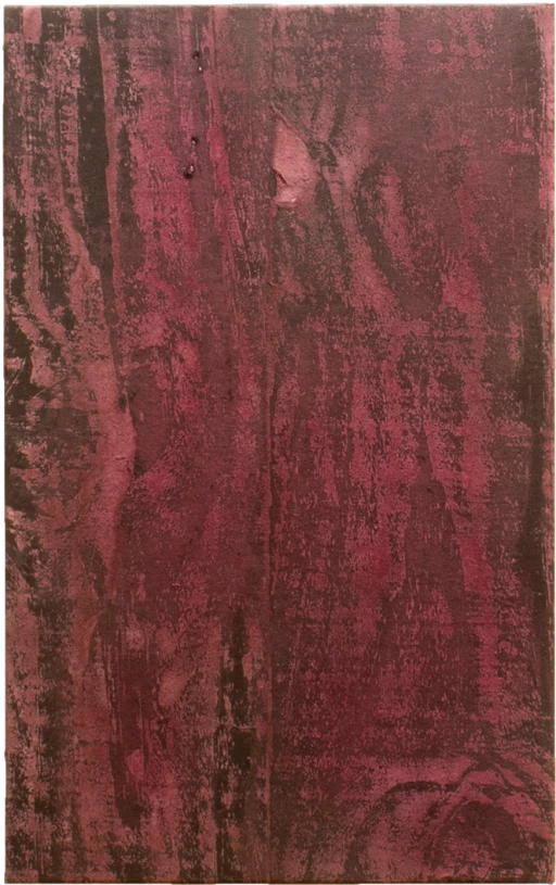 Sem Título 3, da série Pertencimento