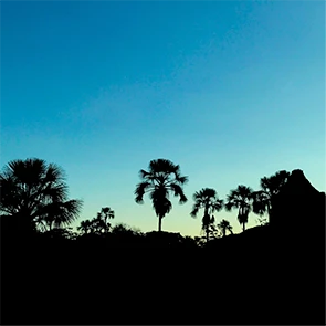 No Meio do Redemunho