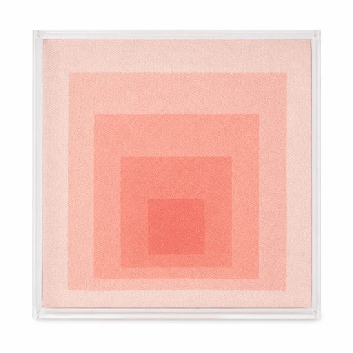 Quadro tule rosa