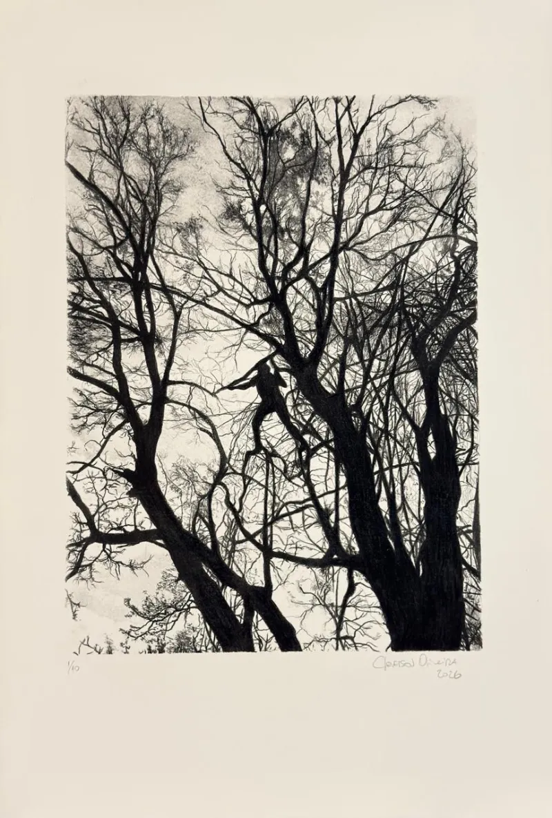 Sem título