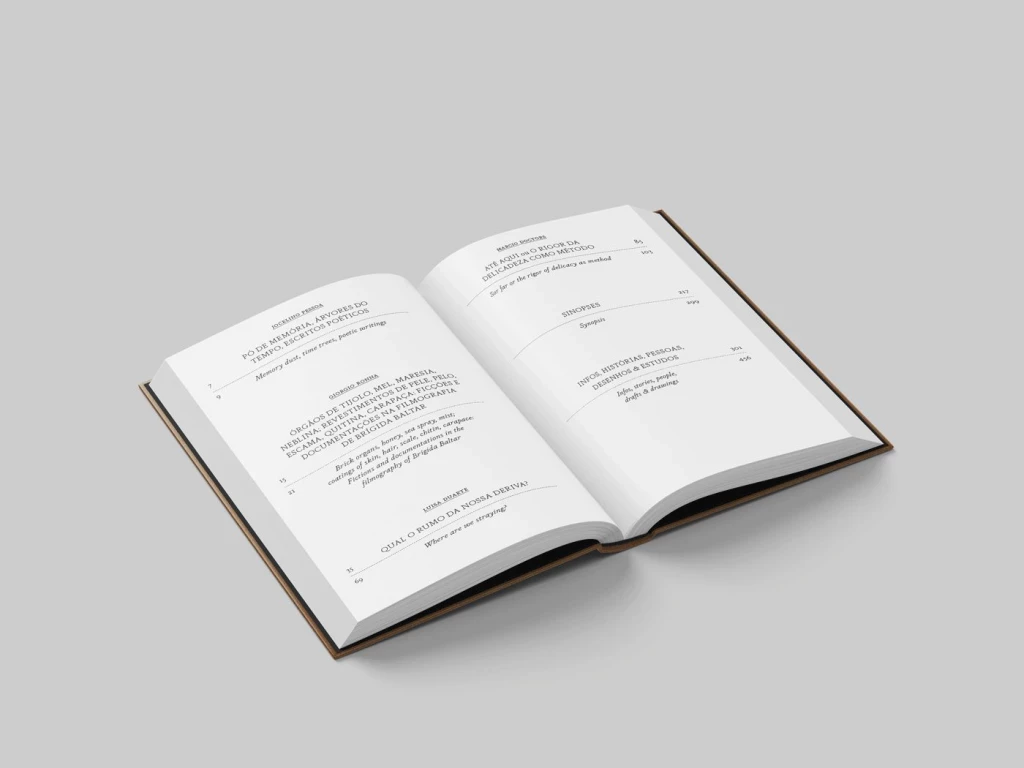 Lançamento de Livro | Projeto Brígida, de organização da obra fílmica de Brígida Baltar