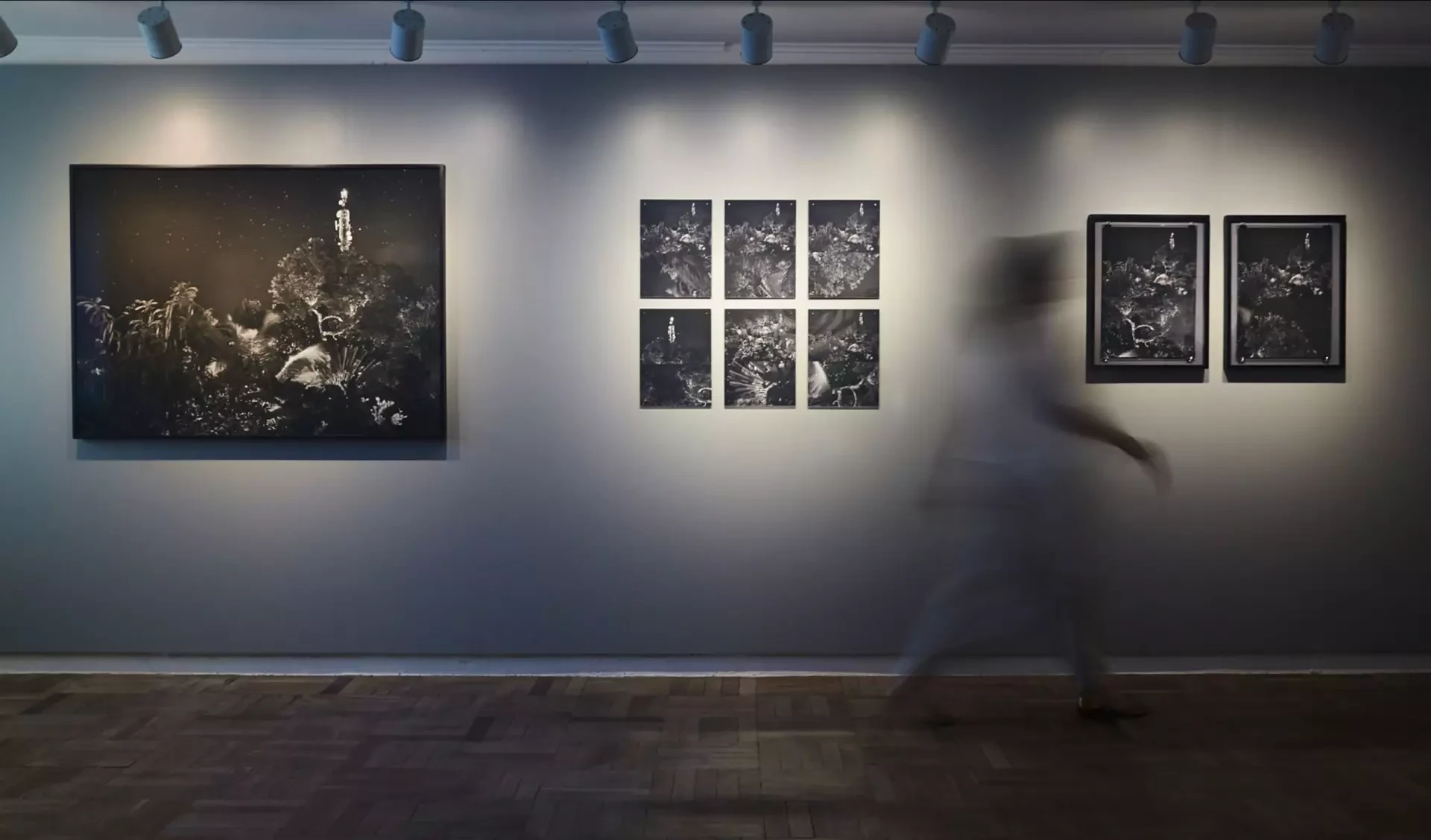 Eclipse" Exhibition | Feco Hamburguer 