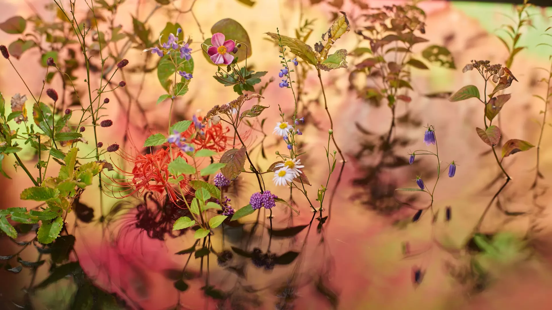Exposição “ESSÊNCIA: Jardim Interior - Atsunobu Katagiri”