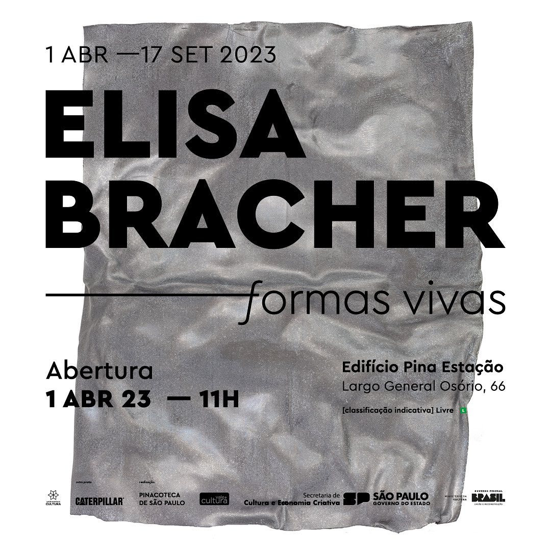 Exposição “Elisa Bracher: formas vivas”,
