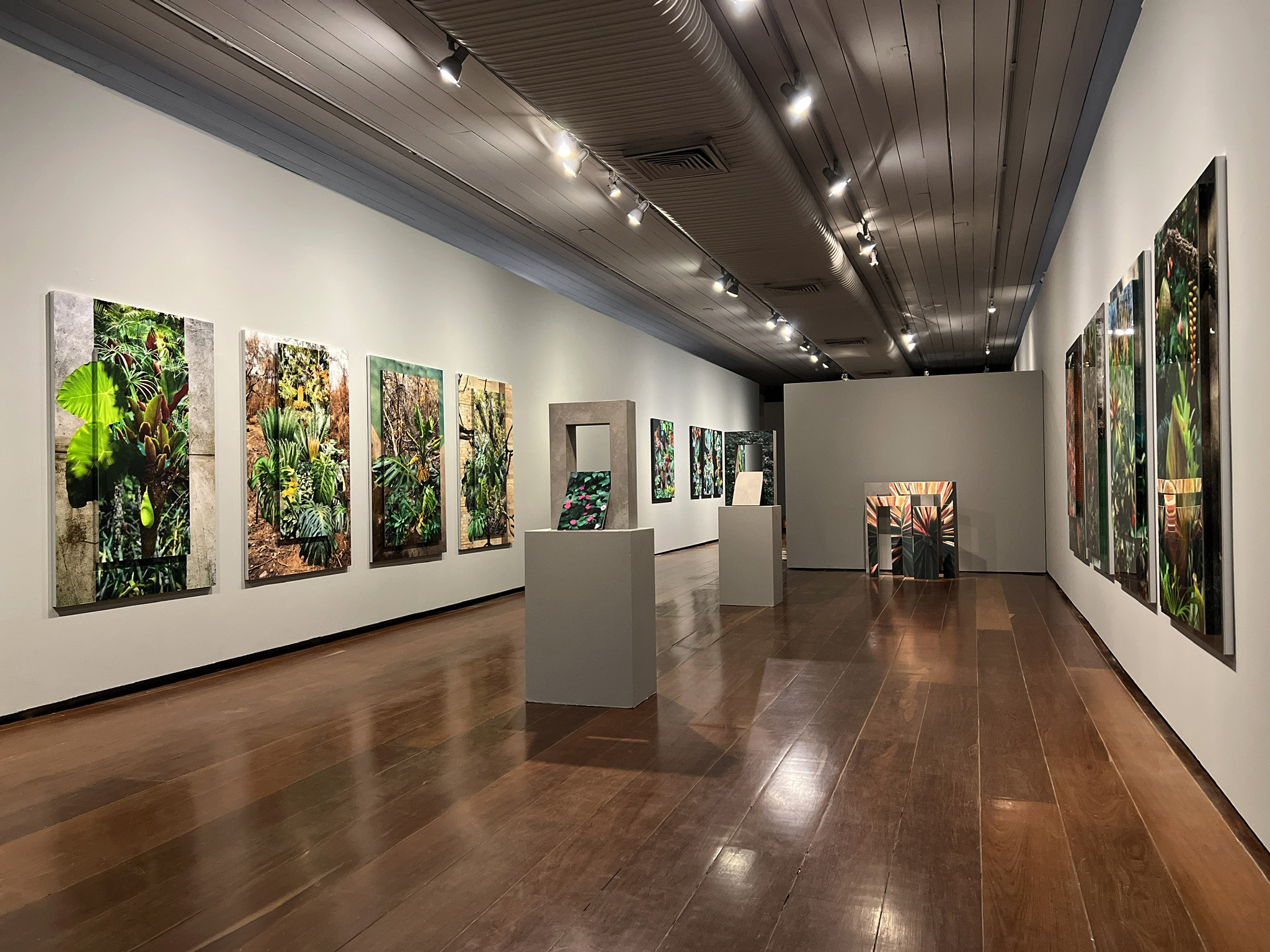 Exposição "Naturas: Assim eu vejo"