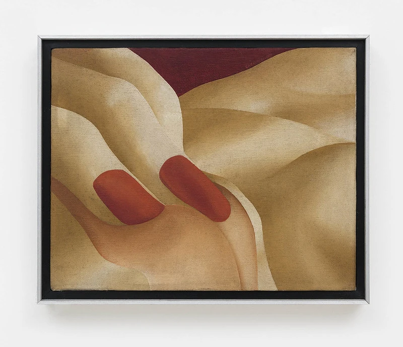 Exposição "Pietrina Checcacci: táticas do corpo"
