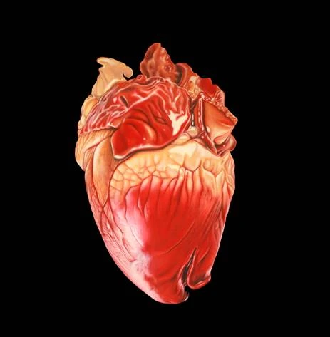 Exposição "CASACORPO" de Pati Rigon