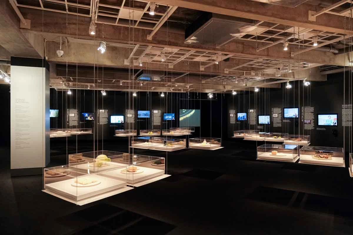 Inédito: três exposições simultaneamente em cartaz na JHSP