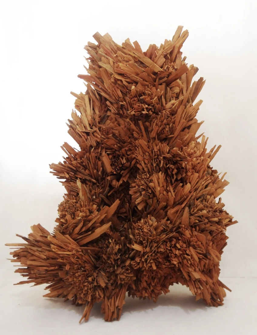Exposição "Transformação da coisa", de João Paulo Paixão, Silvia Ruiz e Vitor Mazon