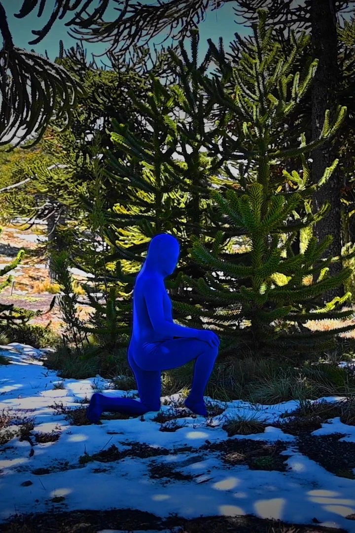 Exposição individual "Semilla", de Seba Calfuqueo