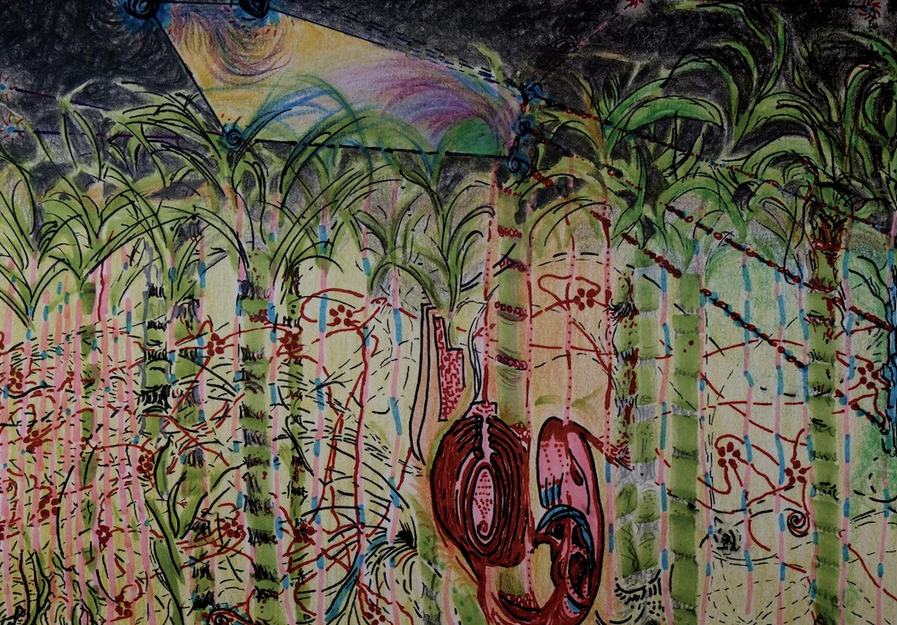 PARADA 7: Imagine um novo mundo – bandeiras da utopia